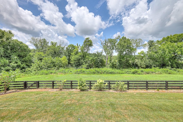 6689 Edgemore Dr, College Grove, TN 37046 - photo 4