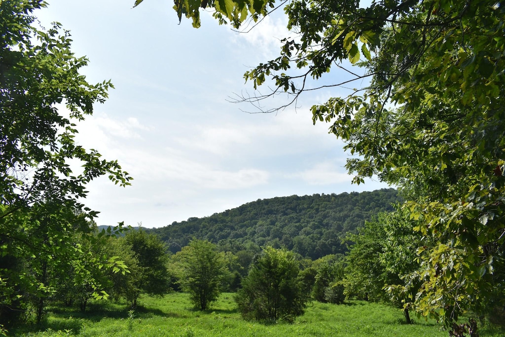 0 Hogans Creek Rd, Carthage, TN 37030 - photo 4