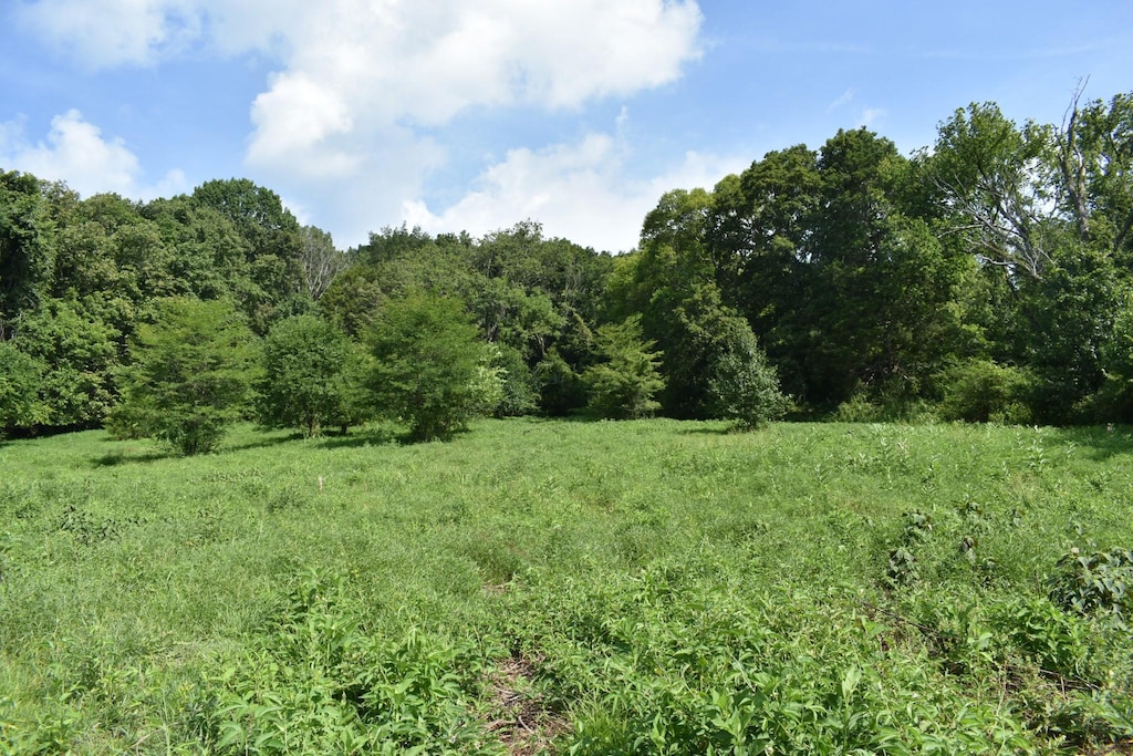 0 Hogans Creek Rd, Carthage, TN 37030 - photo 1