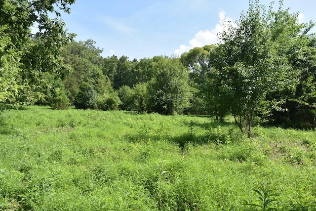 0 Hogans Creek Rd, Carthage, TN 37030 - photo 2