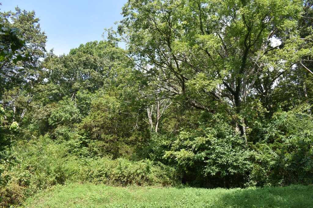 0 Hogans Creek Rd, Carthage, TN 37030 - photo 3
