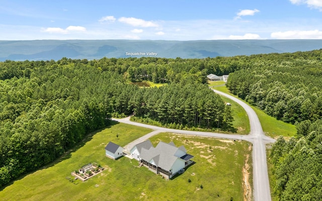 17 Wild Iris Ln, Signal Mountain, TN 37377 - photo 34