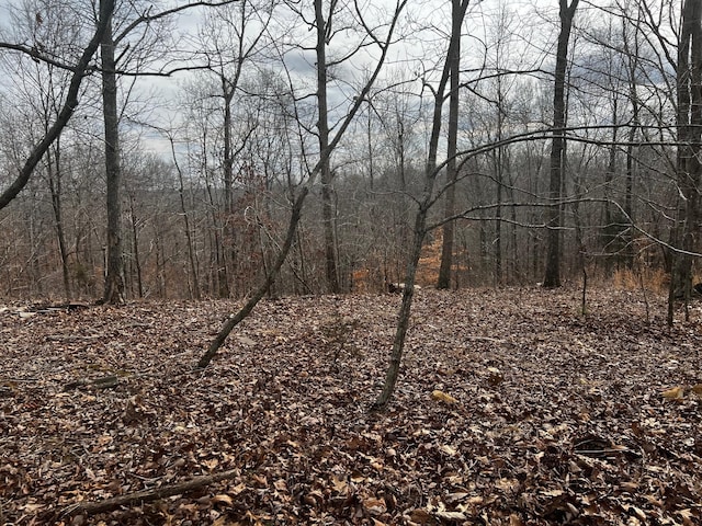 610 Bumpus Mills Rd, Dover, TN 37058 - photo 5