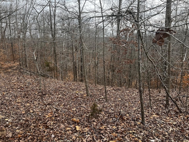 610 Bumpus Mills Rd, Dover, TN 37058 - photo 4