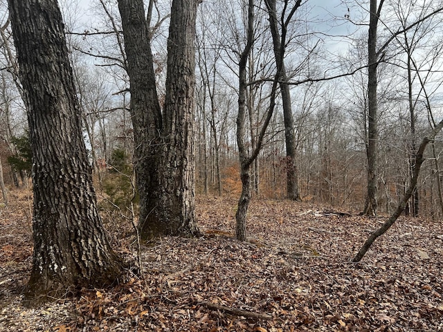 610 Bumpus Mills Rd, Dover, TN 37058 - photo 2