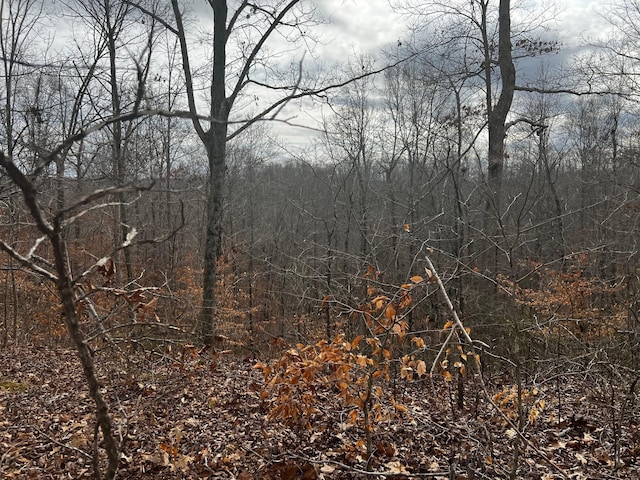 610 Bumpus Mills Rd, Dover, TN 37058 - photo 3