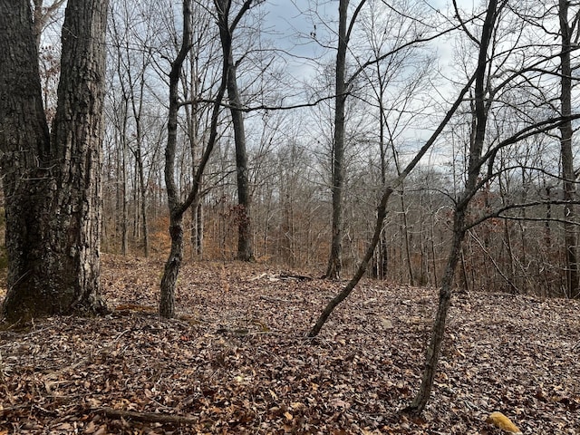 610 Bumpus Mills Rd, Dover, TN 37058 - photo 6