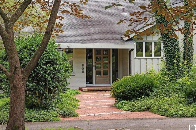 805 Olive St, Murray, KY 42071 - photo 4