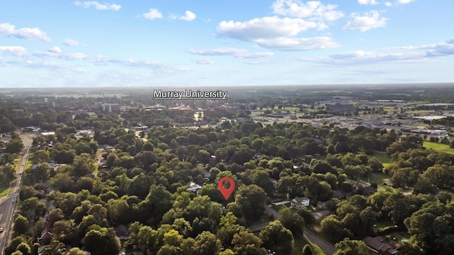 805 Olive St, Murray, KY 42071 - photo 38