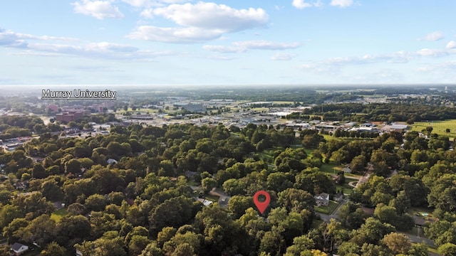 805 Olive St, Murray, KY 42071 - photo 36