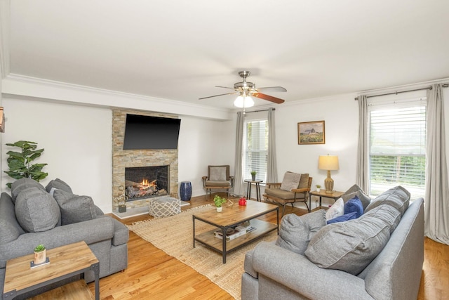 3832 Anderson Rd, Nashville, TN 37217 - photo 8
