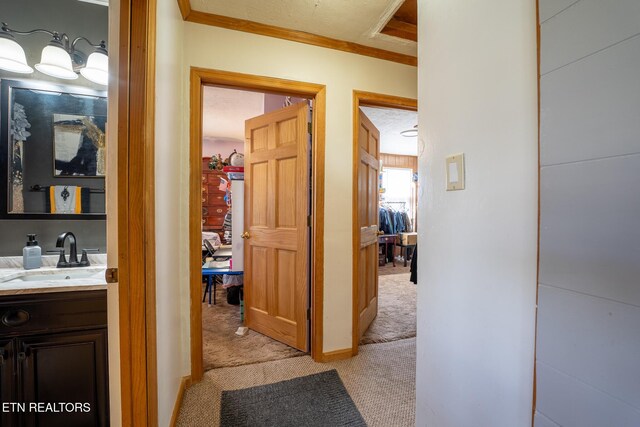 229 Meade St, Maryville, TN 37804 - photo 14