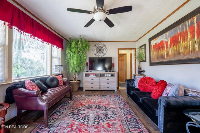 229 Meade St, Maryville, TN 37804 - photo 5