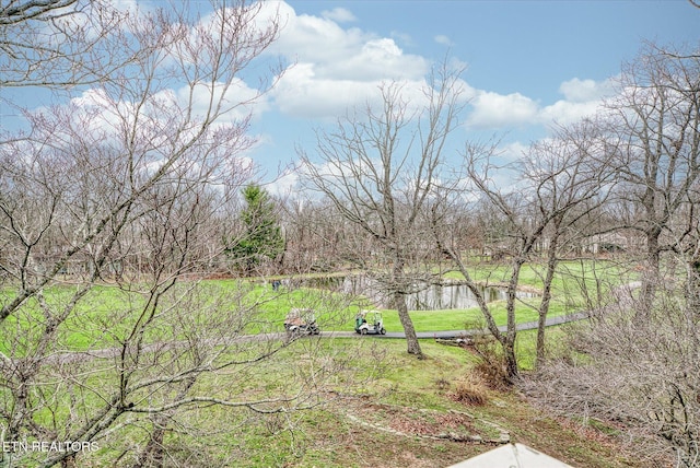 119 Fairway Dr, Crossville, TN 38558 - photo 38