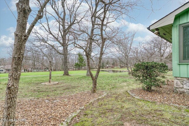 119 Fairway Dr, Crossville, TN 38558 - photo 51