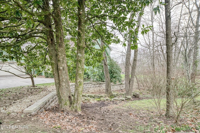 119 Fairway Dr, Crossville, TN 38558 - photo 42