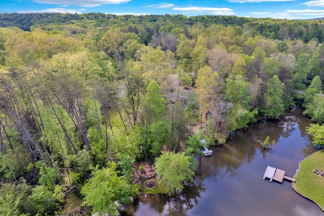 750 Siever Rd, Crossville, TN 38572 - photo 4