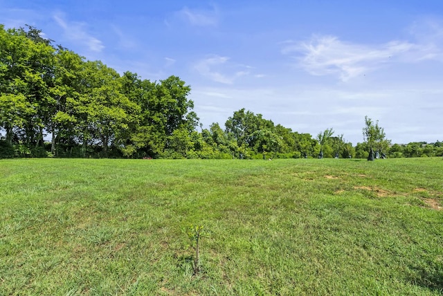1183 Hicks Edgen Rd, Pleasant View, TN 37146 - photo 40