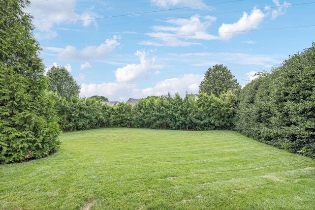 512 Forrest Park Cir, Franklin, TN 37064 - photo 6