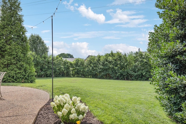 512 Forrest Park Cir, Franklin, TN 37064 - photo 5