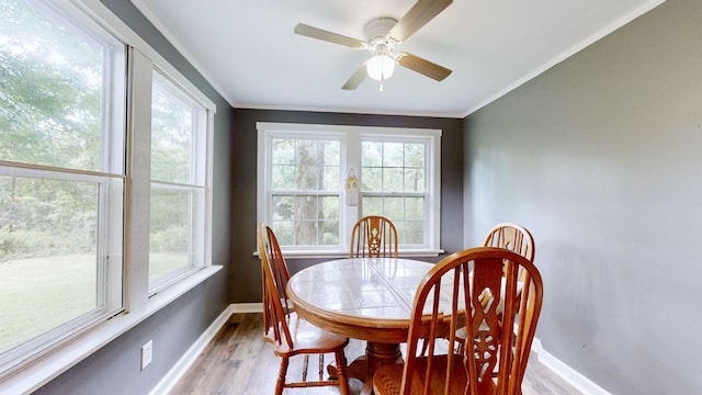 146 Royal Oak Rd, Hohenwald, TN 38462 - photo 15