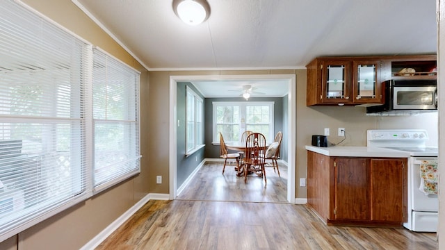 146 Royal Oak Rd, Hohenwald, TN 38462 - photo 14