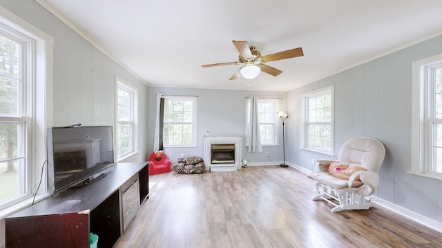 146 Royal Oak Rd, Hohenwald, TN 38462 - photo 17
