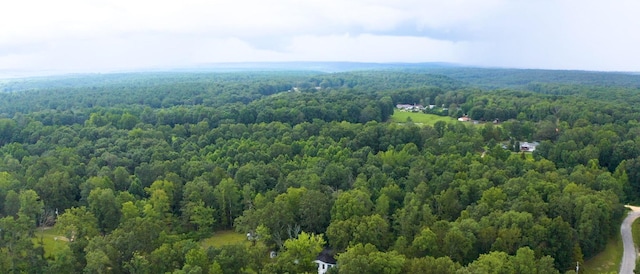 146 Royal Oak Rd, Hohenwald, TN 38462 - photo 36