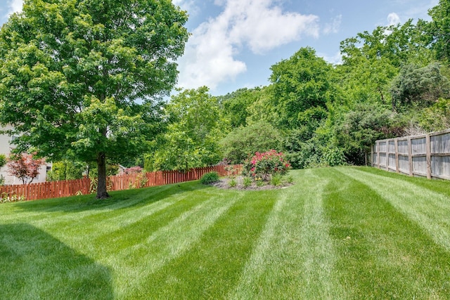 1817 Apple Ridge Cir, Nashville, TN 37211 - photo 5