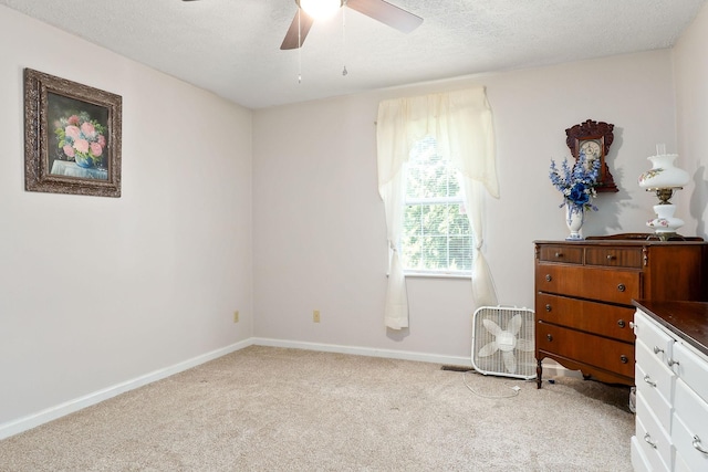 3660 Burgess Falls Rd, Sparta, TN 38583 - photo 5