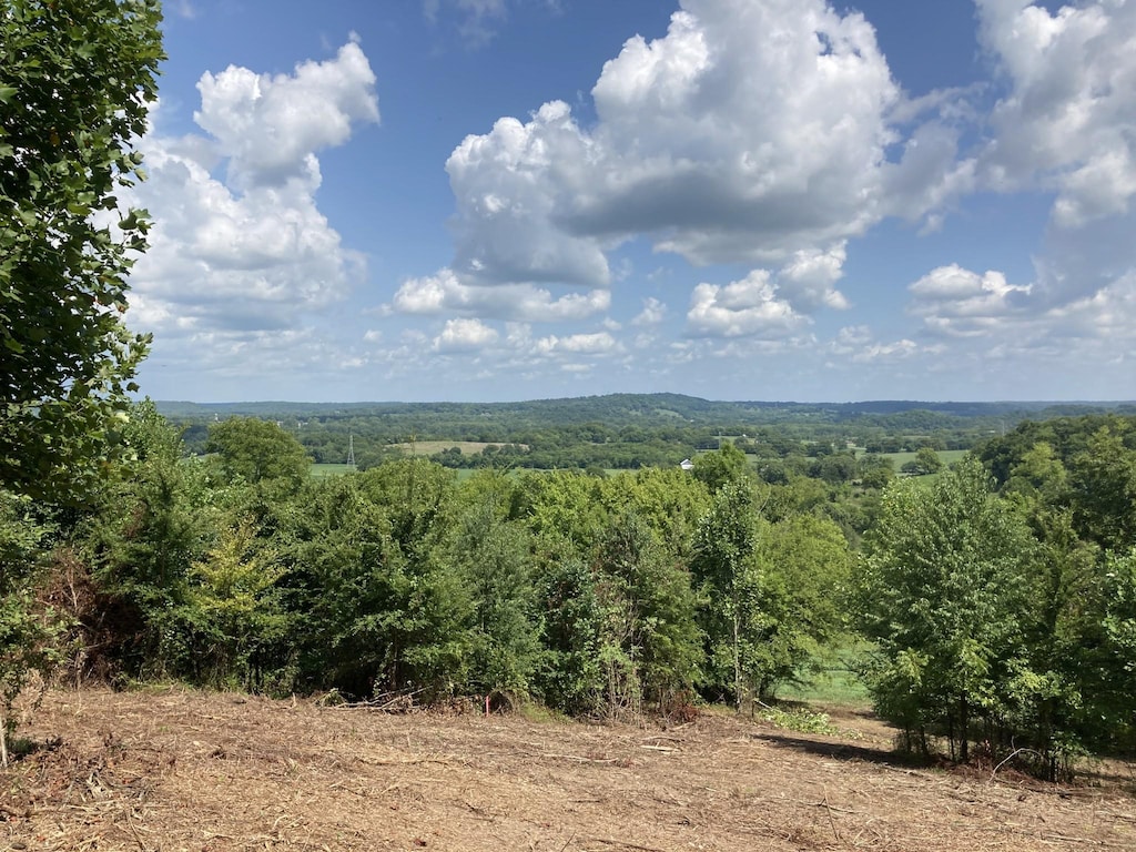 8410 Joy Rd, Mount Pleasant, TN 38474 - photo 1
