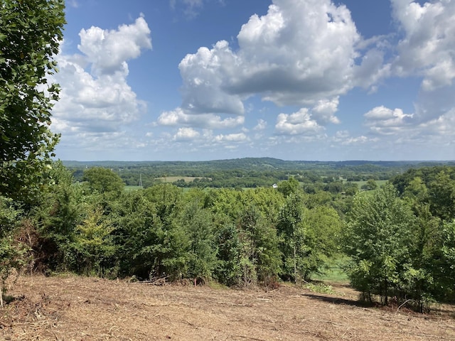 8410 Joy Rd, Mount Pleasant, TN 38474 - photo 1