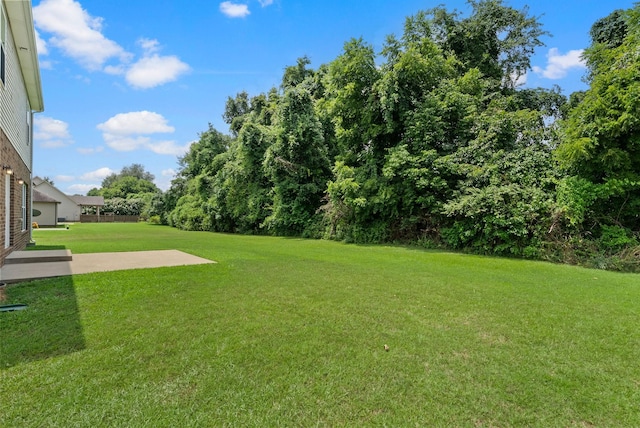 388 Abeline Dr, Clarksville, TN 37043 - photo 46