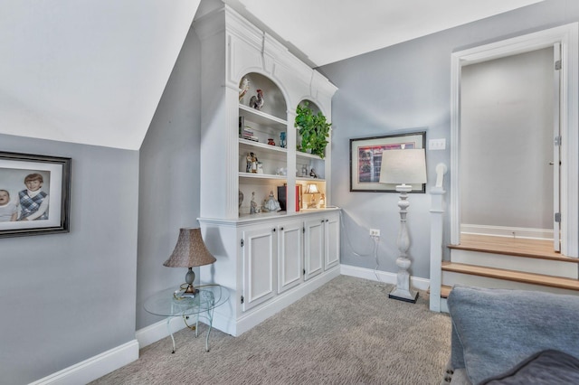 206 Leconte Ct, Murfreesboro, TN 37128 - photo 46