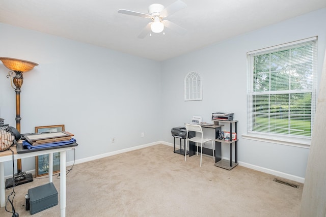 2308 Forrest Fields Dr, Chapel Hill, TN 37034 - photo 21
