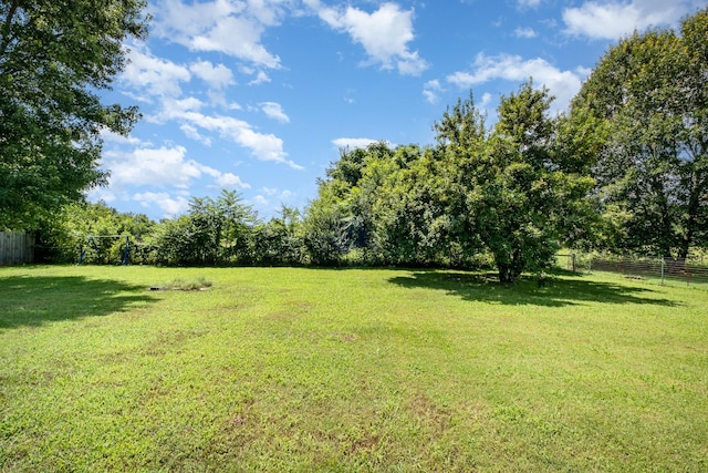 2308 Forrest Fields Dr, Chapel Hill, TN 37034 - photo 30