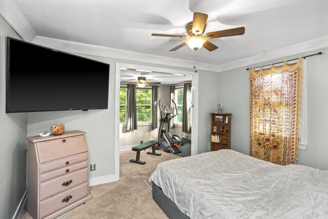 6297 Old Hickory Blvd, Whites Creek, TN 37189 - photo 19
