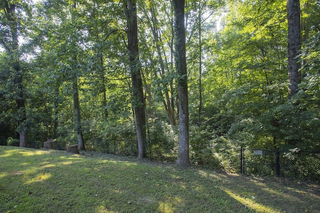 6297 Old Hickory Blvd, Whites Creek, TN 37189 - photo 45