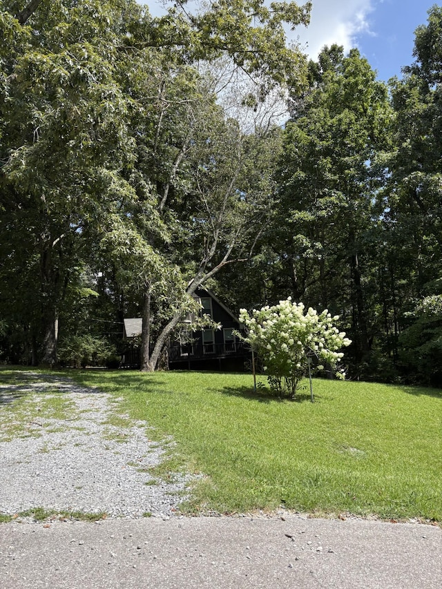 1144 Chestnut Dr, Burns, TN 37029 - photo 11