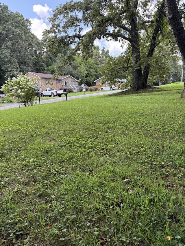 1144 Chestnut Dr, Burns, TN 37029 - photo 17