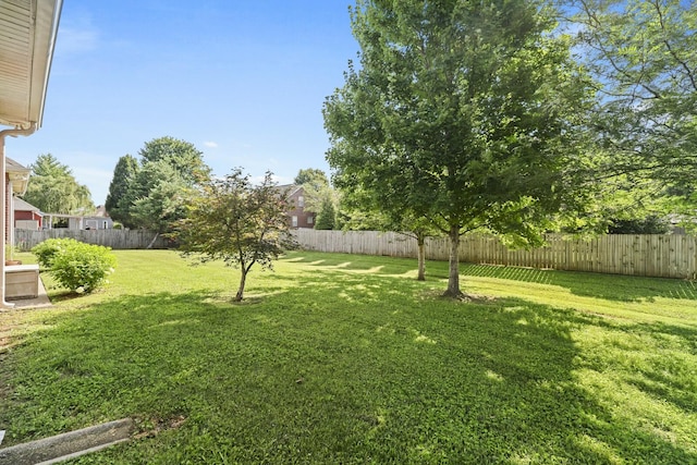 2638 English Hill Dr, Murfreesboro, TN 37130 - photo 35