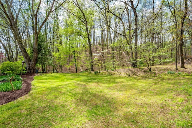 642 Kyle Ln NW, Cleveland, TN 37312 - photo 52