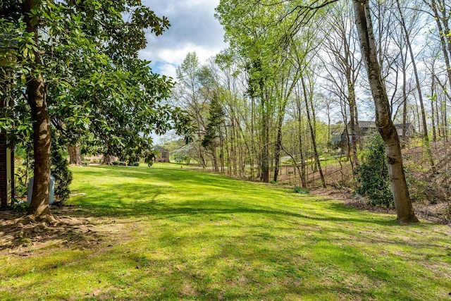 642 Kyle Ln NW, Cleveland, TN 37312 - photo 61