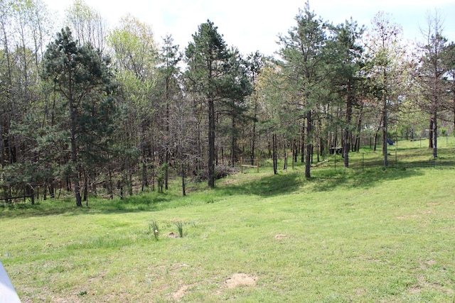 144 Bjs Way, Summertown, TN 38483 - photo 44