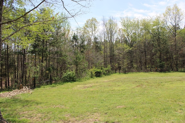144 Bjs Way, Summertown, TN 38483 - photo 42