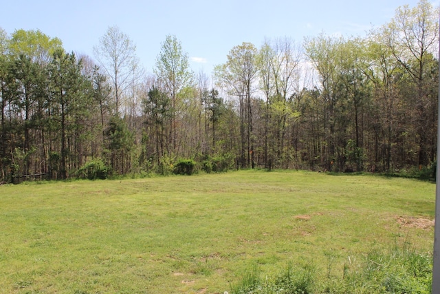 144 Bjs Way, Summertown, TN 38483 - photo 43