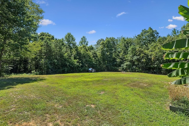 144 Bjs Way, Summertown, TN 38483 - photo 19