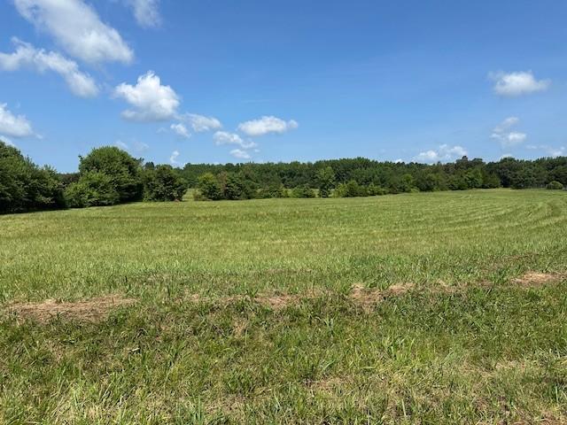 0 Old Huntsville Rd, Fayetteville, TN 37334 - photo 1