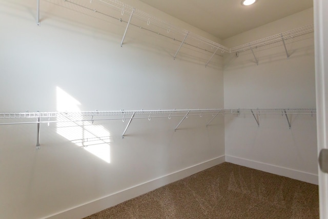 243 Bellshire Dr, Clarksville, TN 37043 - photo 29