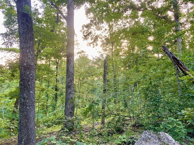0 Wildlife Rd, Dover, TN 37058 - photo 12